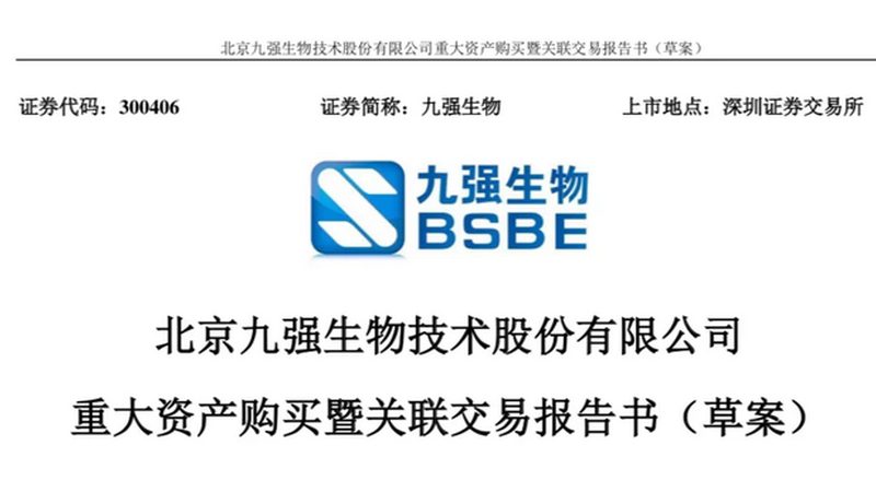 分子生物学试剂盒：操作流程解析与关键要点**