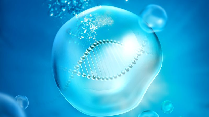 实验室生物试剂与耗材：分类与选购要点