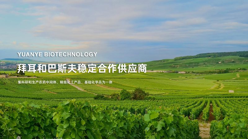 第三方诊断试剂代工工厂：揭秘其背后的工艺与选择要点**