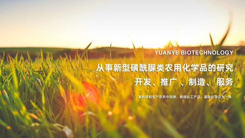 老年人新冠阳性，Ct值多少才算安全