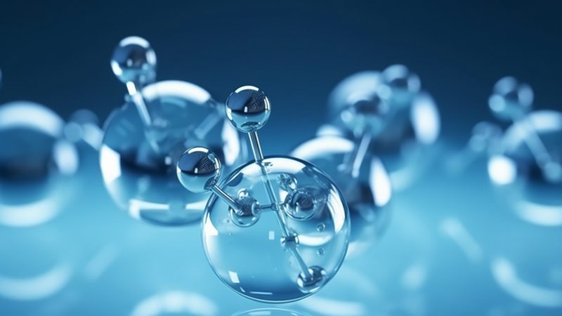 基因检测报告解读：揭秘价格背后的价值
