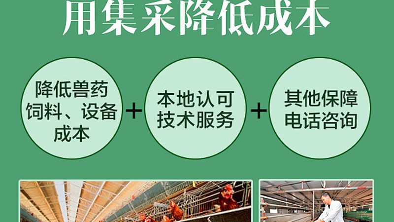 分子生物学试剂分类标准揭秘：如何选择合适的工具