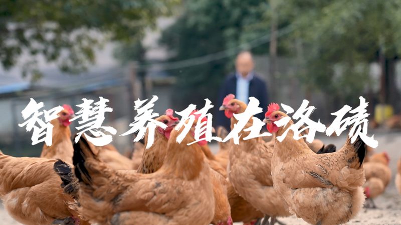 基因测序代理授权，选错了比不选更麻烦