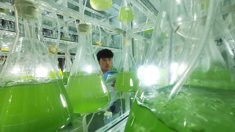 无创产前基因检测报告单：揭秘其背后的科学奥秘